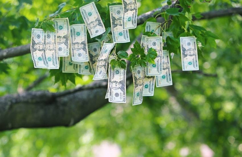 limiting beliefs money does not grow on trees