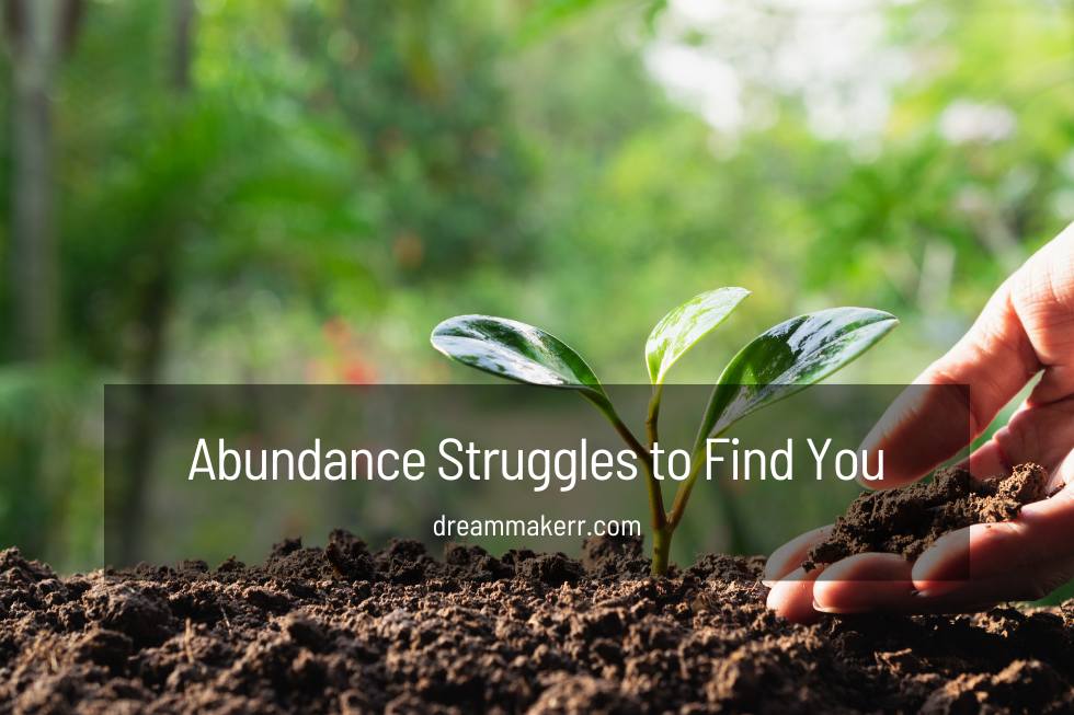 11 Reasons Abundance Struggles to Find You